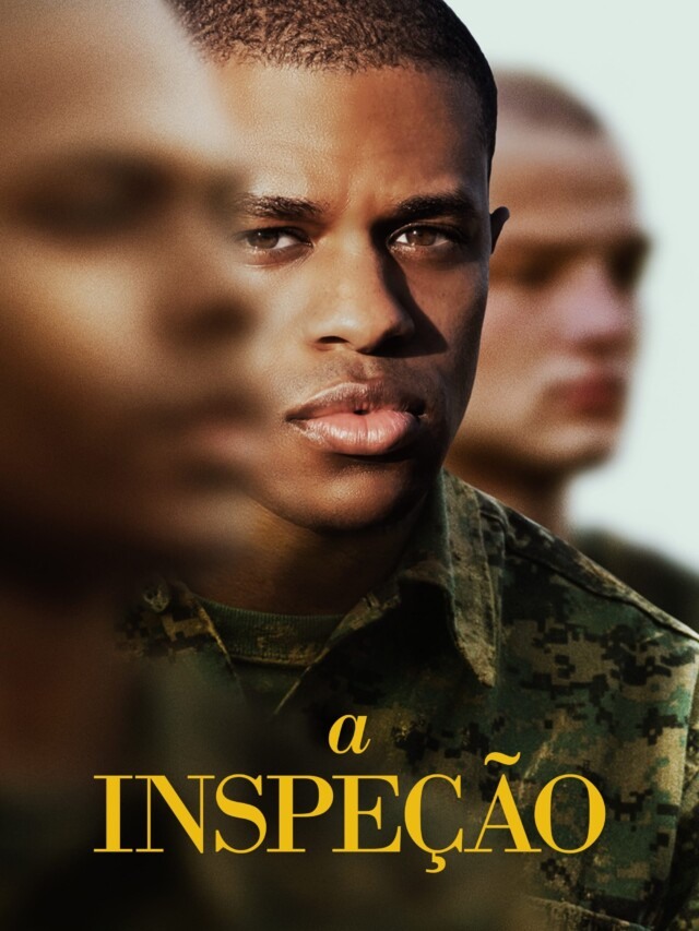 A Inspeção