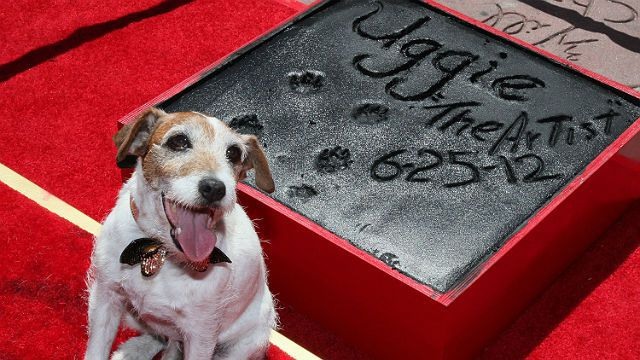 Uggie calcada da fama