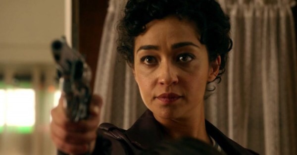 Tulipa em Preacher