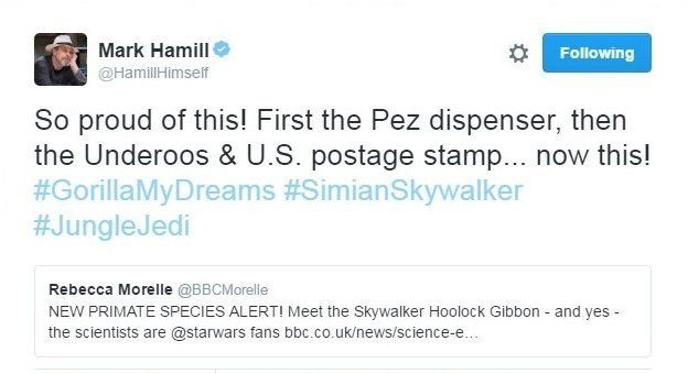 Mark Hamill