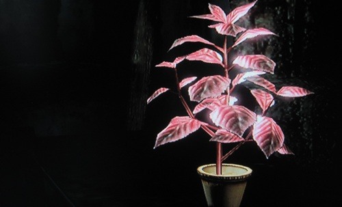 pink-herbs-resident-evil-zero
