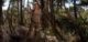 Alicia Vikander como Lara Croft em Tomb Raider: A Origem