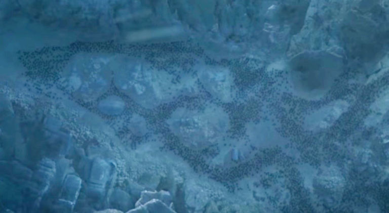 stark