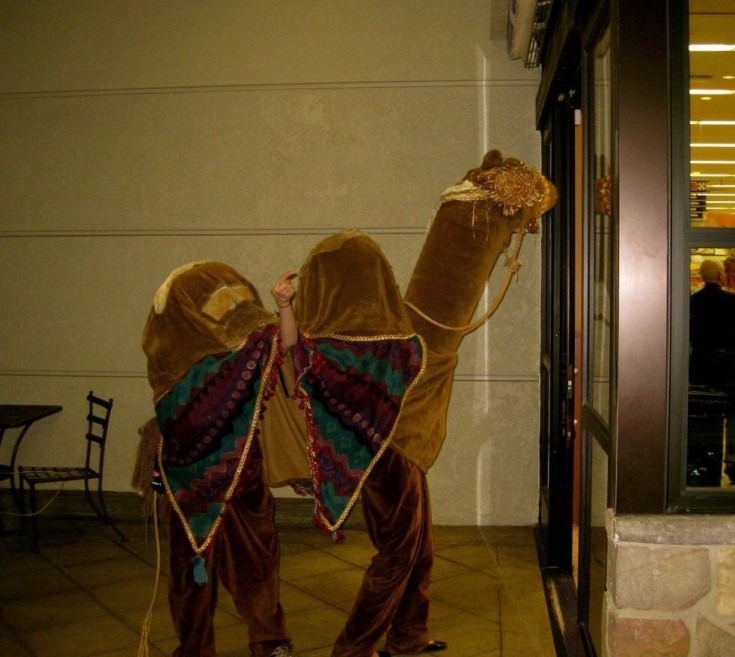 camel 2