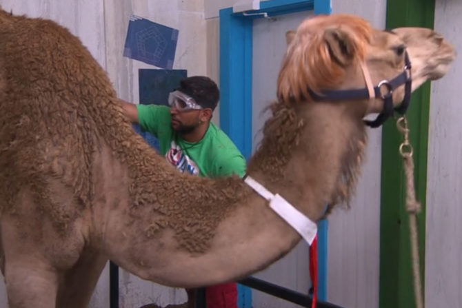 Amir Khan em prova de I Am a Celebrit