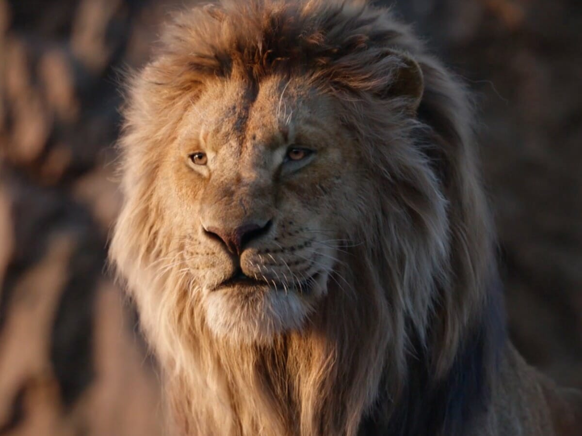 Filme contará a origem de Mufasa