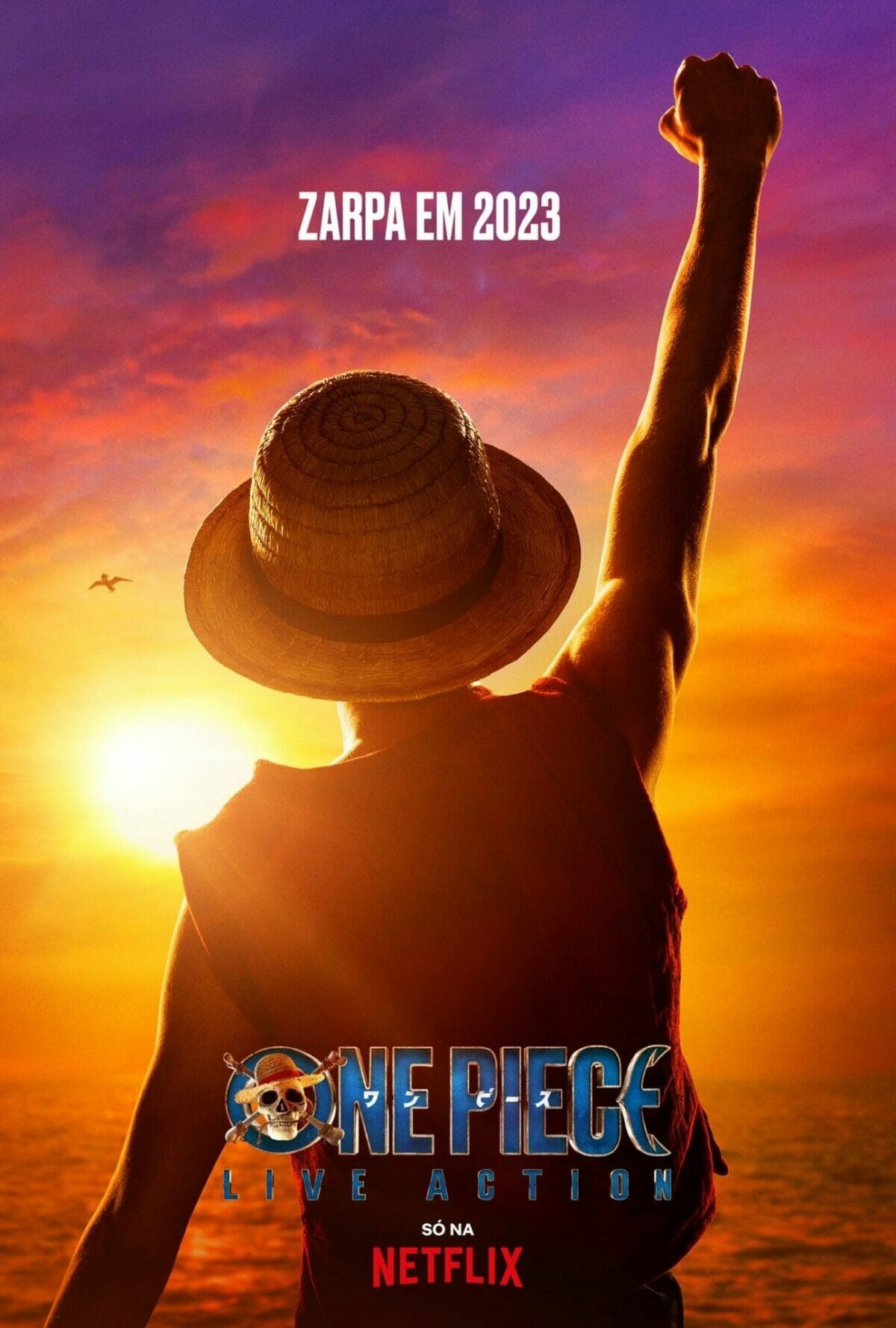 Pôster de One Piece