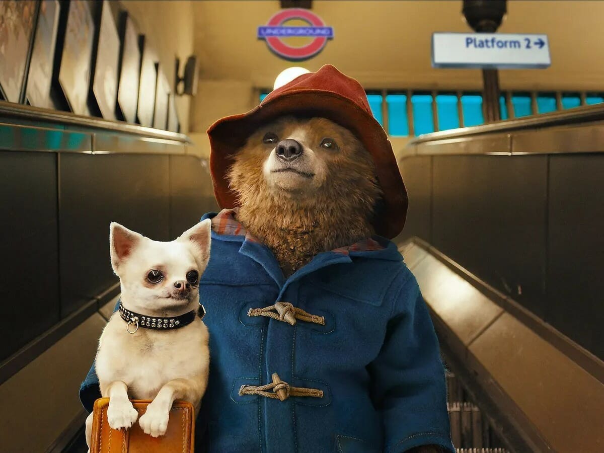 Paddington é um sucesso de crítica e público