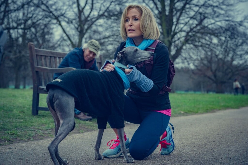 Gillian Anderson como Emily Maitlis em A Entrevista